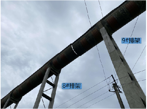 J9国际站备用【唯一】官方网站